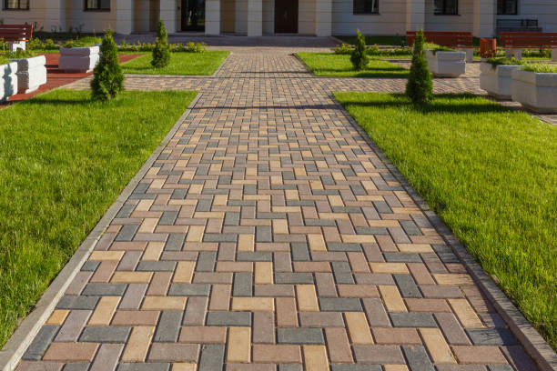 Best Residential Paver Driveway  in Magnet Cove, AR